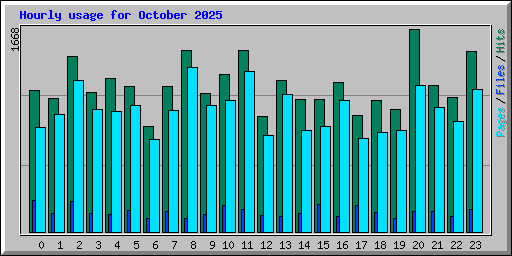 Hourly usage for October 2025
