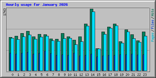 Hourly usage for January 2026